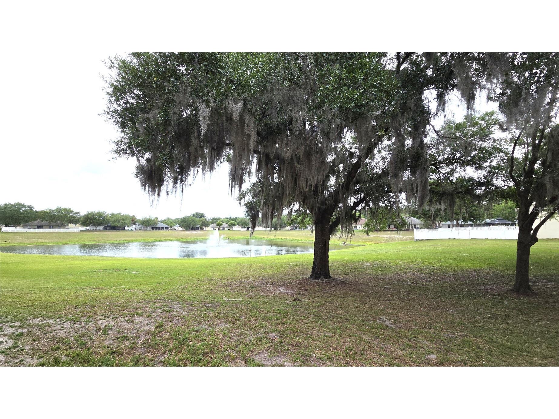 1562 Hackney Ter Deland FL 32720 V4949046 image31
