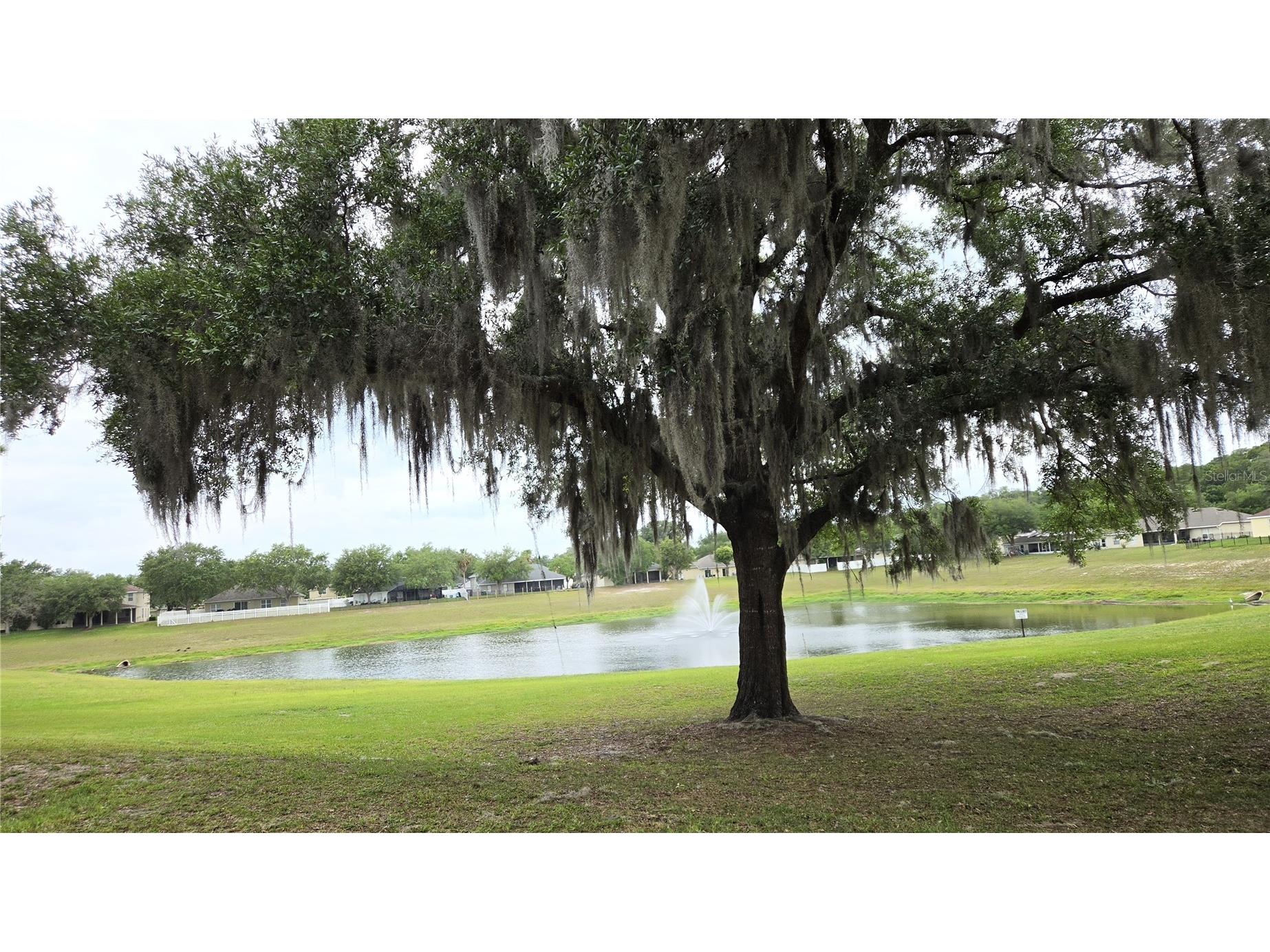 1562 Hackney Ter Deland FL 32720 V4949046 image34