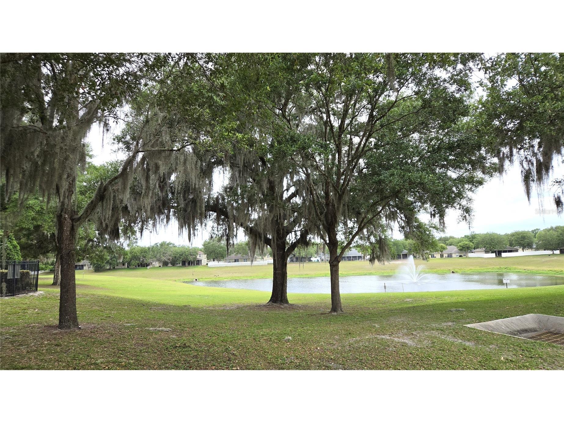 1562 Hackney Ter Deland FL 32720 V4949046 image35