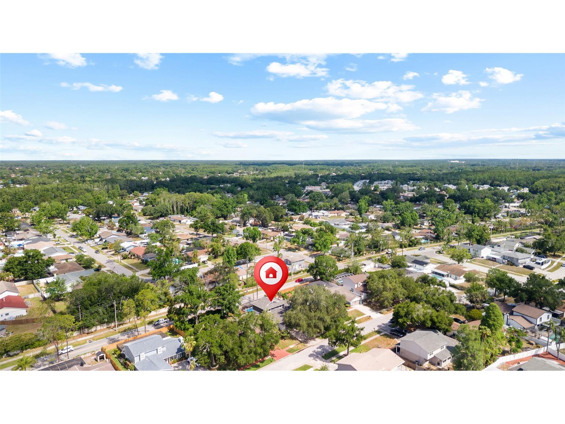 15620 Gardenside Lane Tampa FL 33624 TB8504184 image62