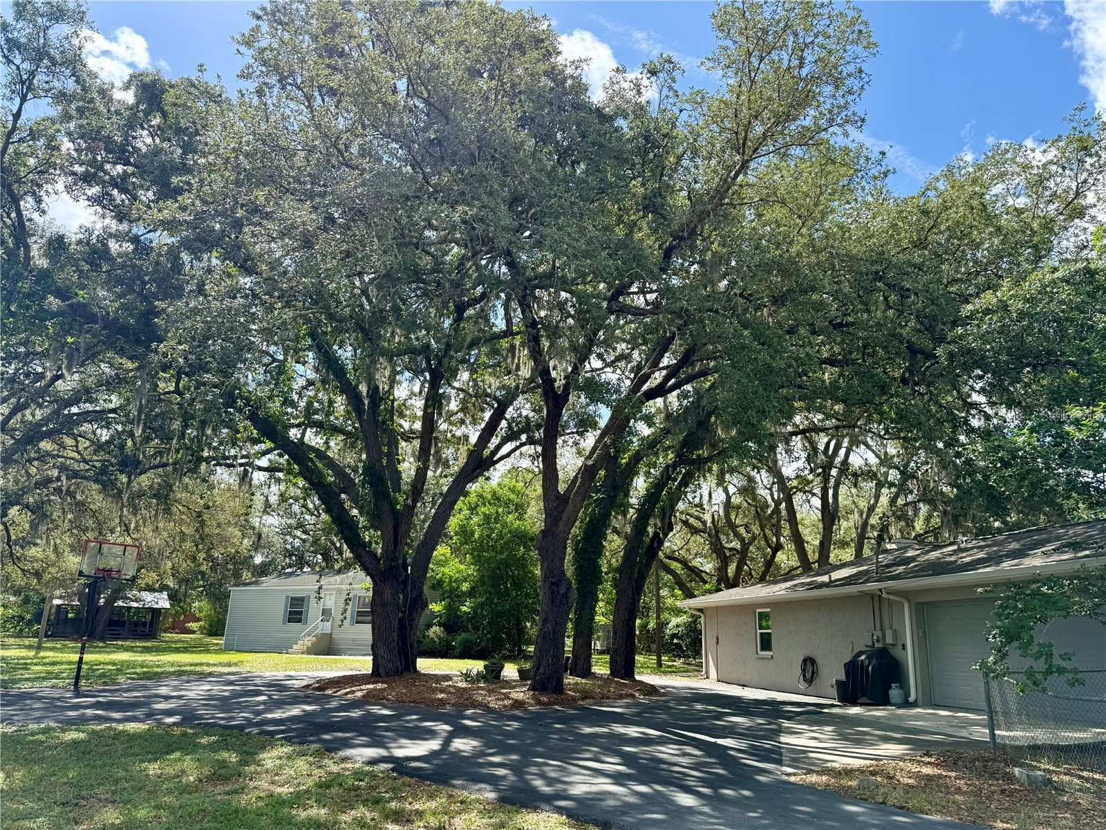 15620 Hays Road Spring Hill FL 34610 TB8498331 image98