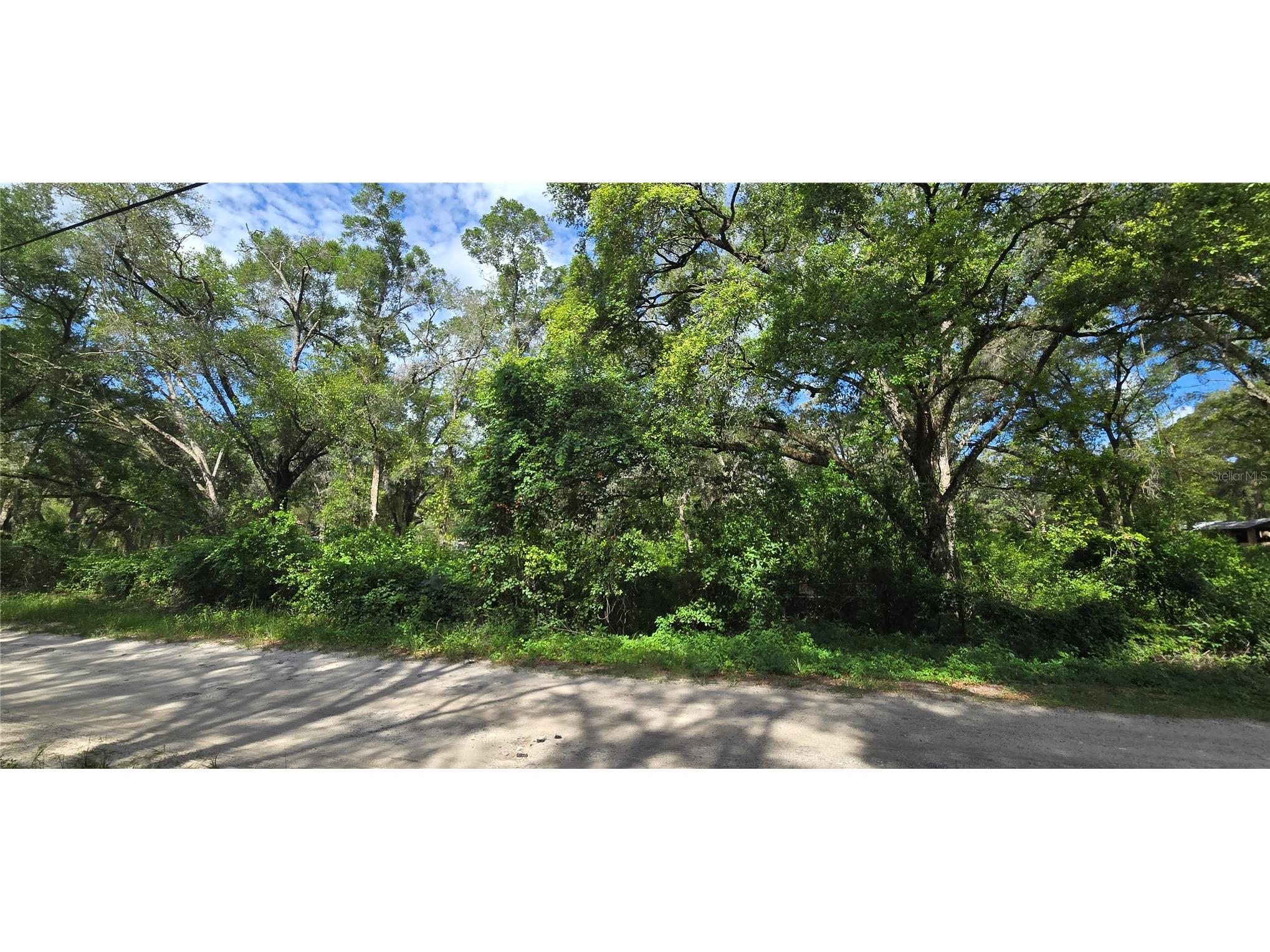 15621 Daybreeze Drive Spring Hill FL 34610 W7886771 image1