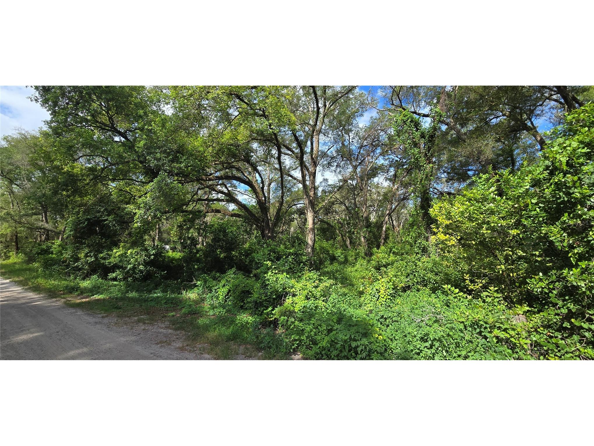 15621 Daybreeze Drive Spring Hill FL 34610 W7886771 image4