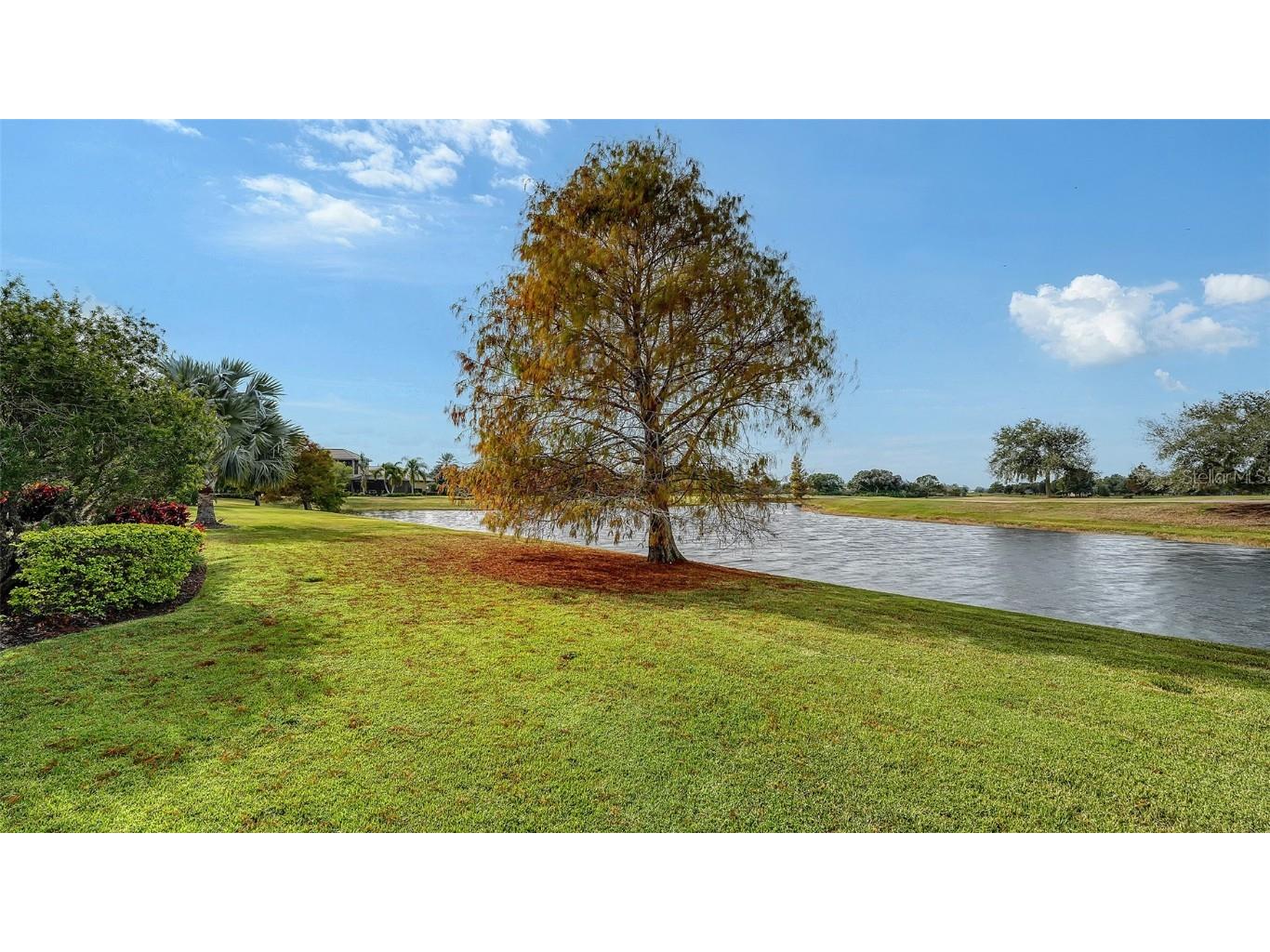 15621 Linn Park Terrace Lakewood Ranch FL 34202 A4675399 image70