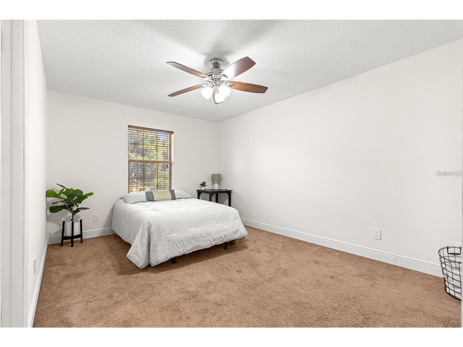 15621 SE 103rd Terrace Summerfield FL 34491 OM716349 image46