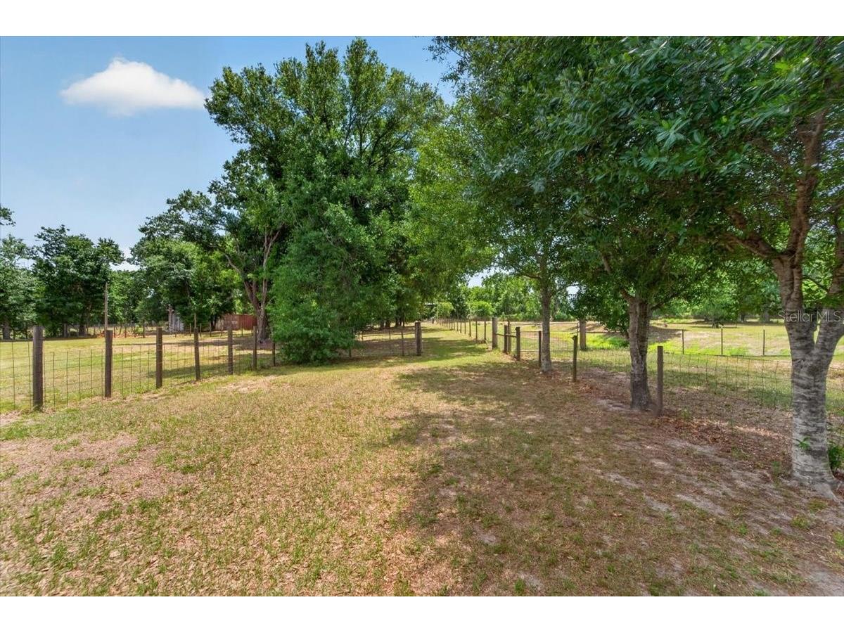 15623 Alderman Turner Road Wimauma FL 33598 TB8502548 image61