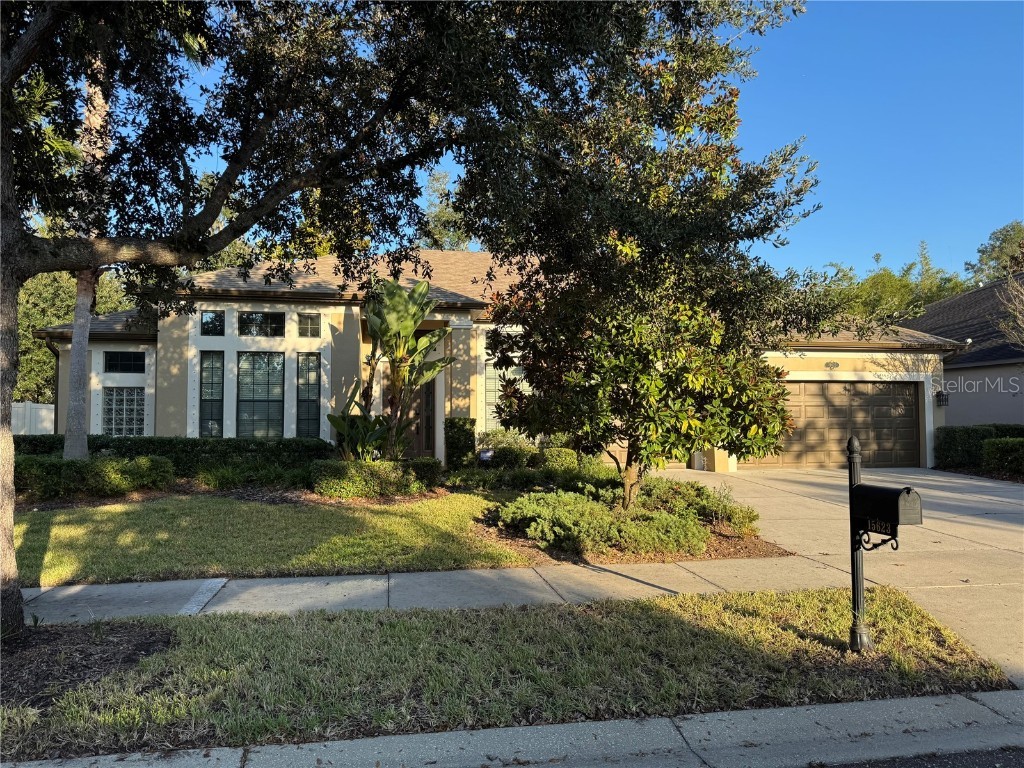 15623 Hampton Village Drive Tampa FL 33618 TB8439830 image1