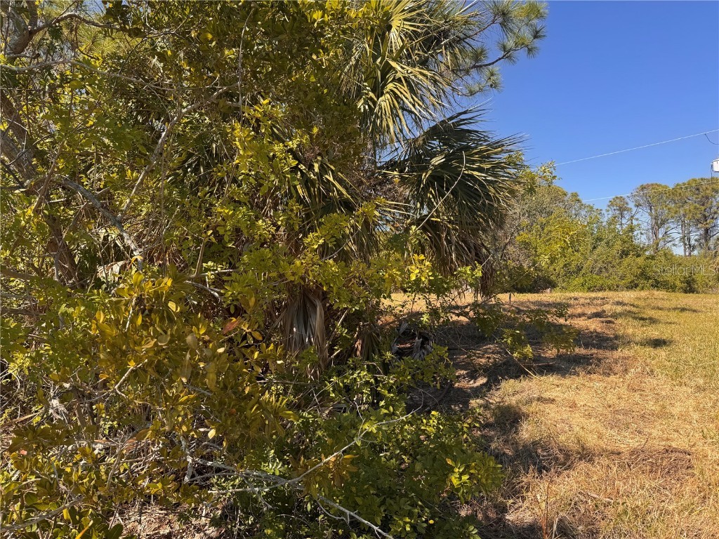 15624 Aldama Circle Port Charlotte FL 33981 - APPLEWHITE WATERWAY D6141236 image14