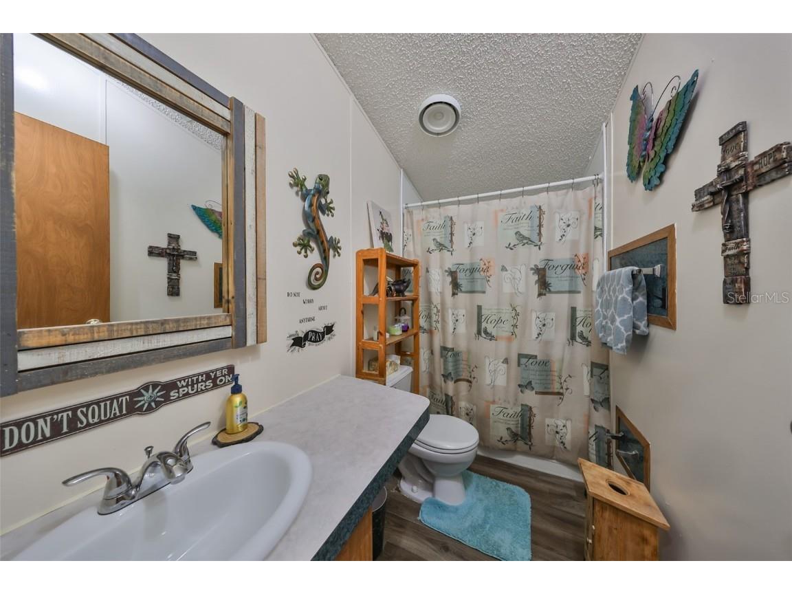 15624 Carlton Lake Road Wimauma FL 33598 W7871541 image37