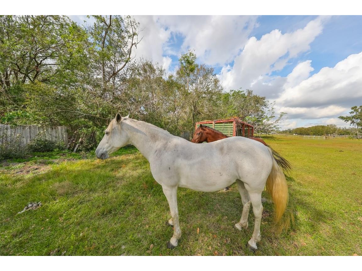 15624 Carlton Lake Road Wimauma FL 33598 W7871541 image58