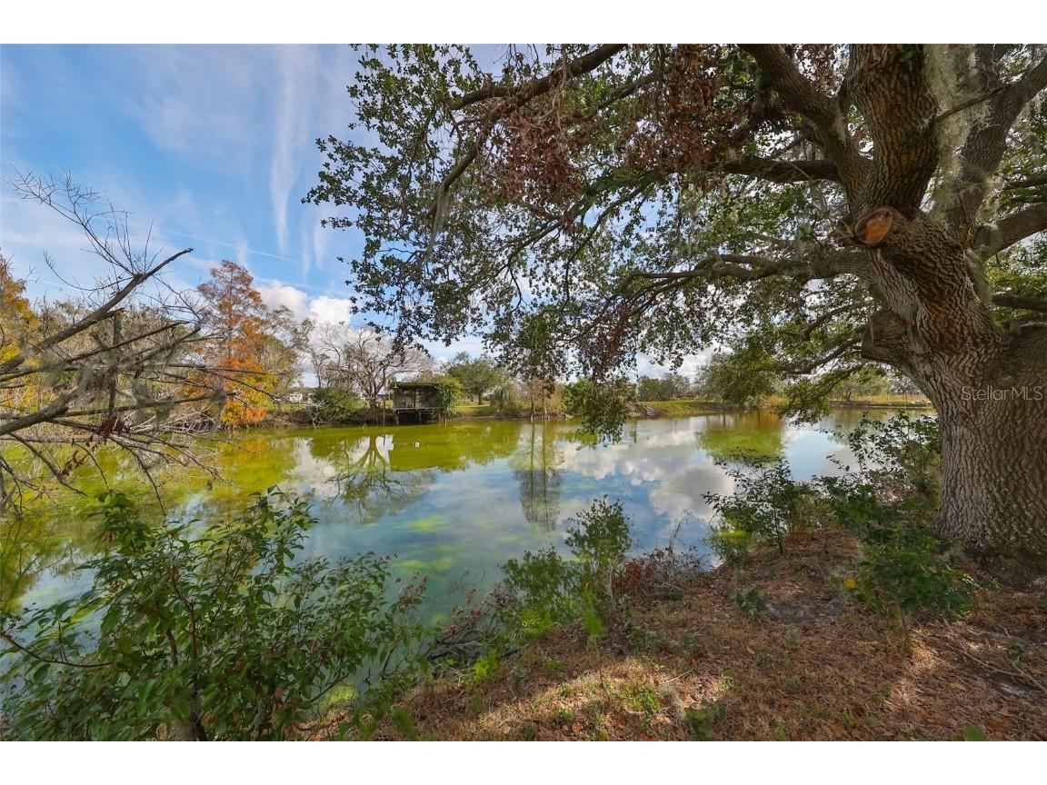 15624 Carlton Lake Road Wimauma FL 33598 W7871541 image62