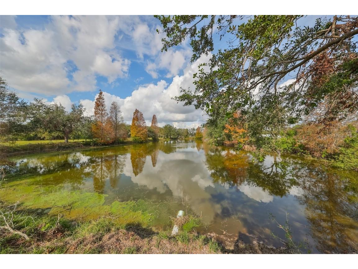 15624 Carlton Lake Road Wimauma FL 33598 W7871541 image63