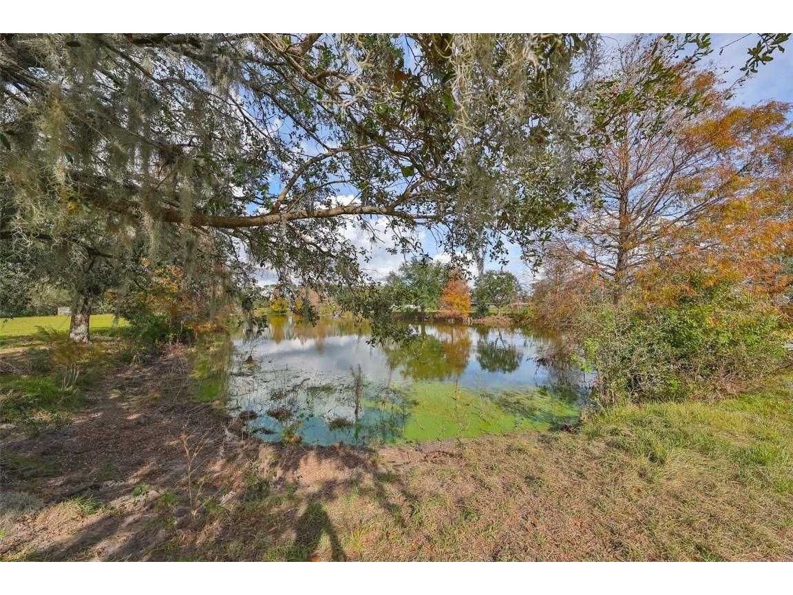 15624 Carlton Lake Road Wimauma FL 33598 W7871541 image64