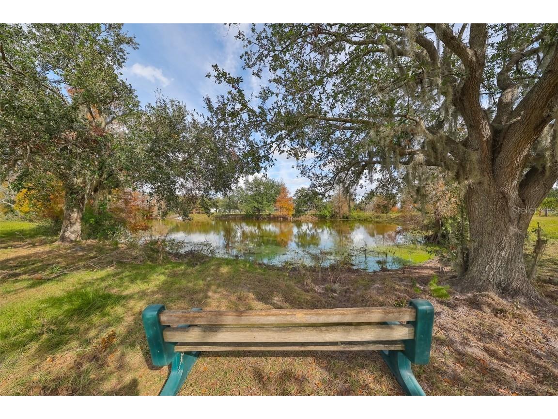 15624 Carlton Lake Road Wimauma FL 33598 W7871541 image65