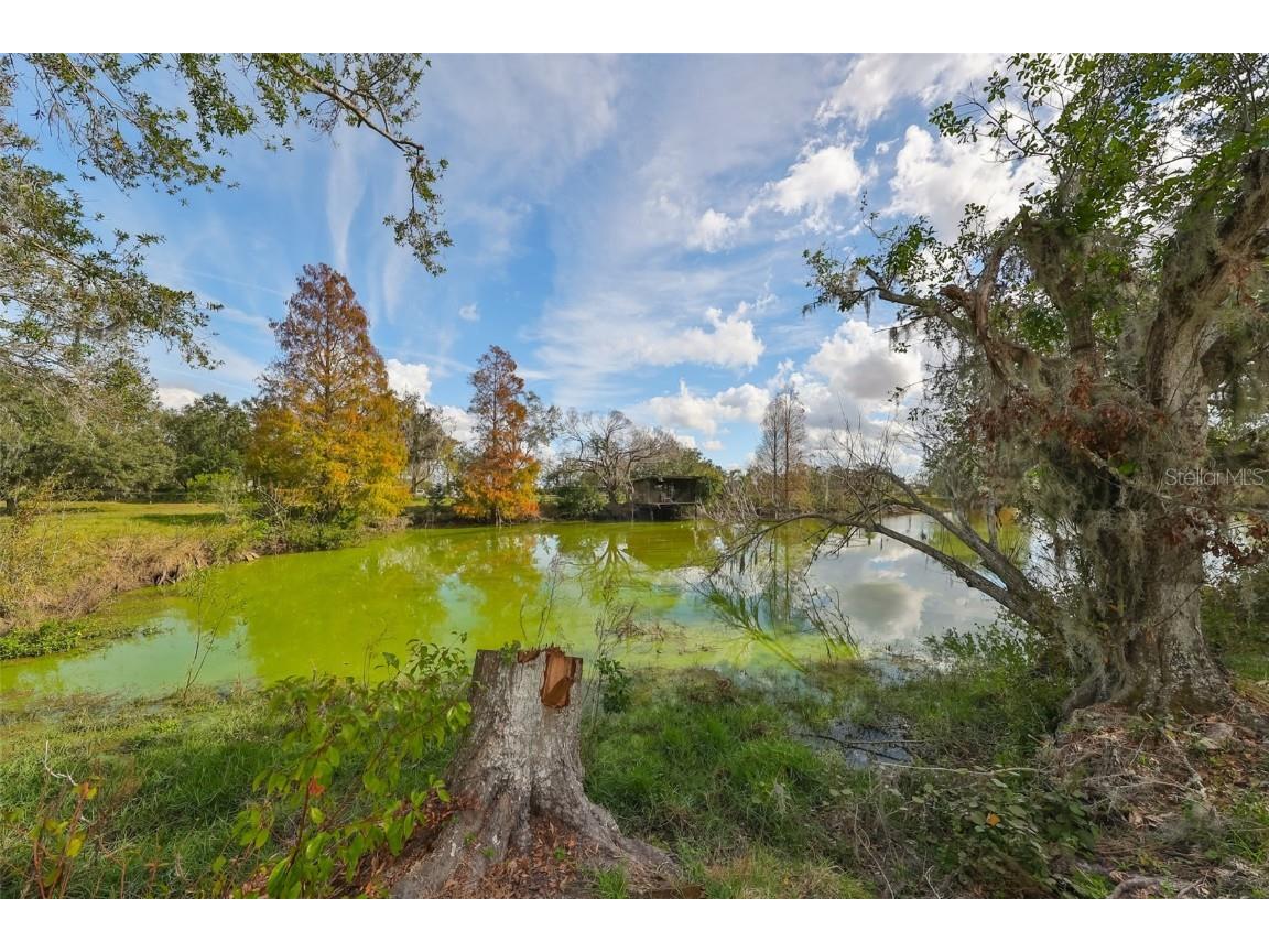 15624 Carlton Lake Road Wimauma FL 33598 W7871541 image66