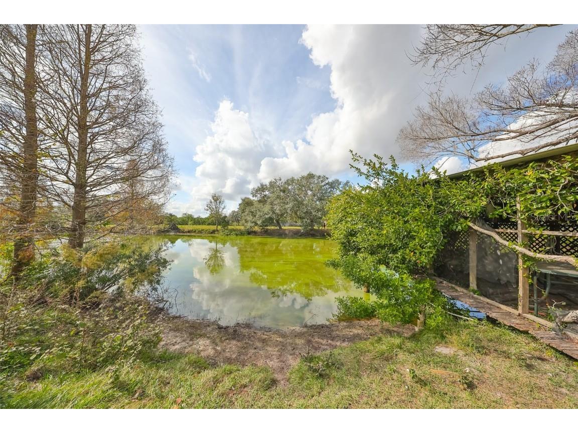 15624 Carlton Lake Road Wimauma FL 33598 W7871541 image69