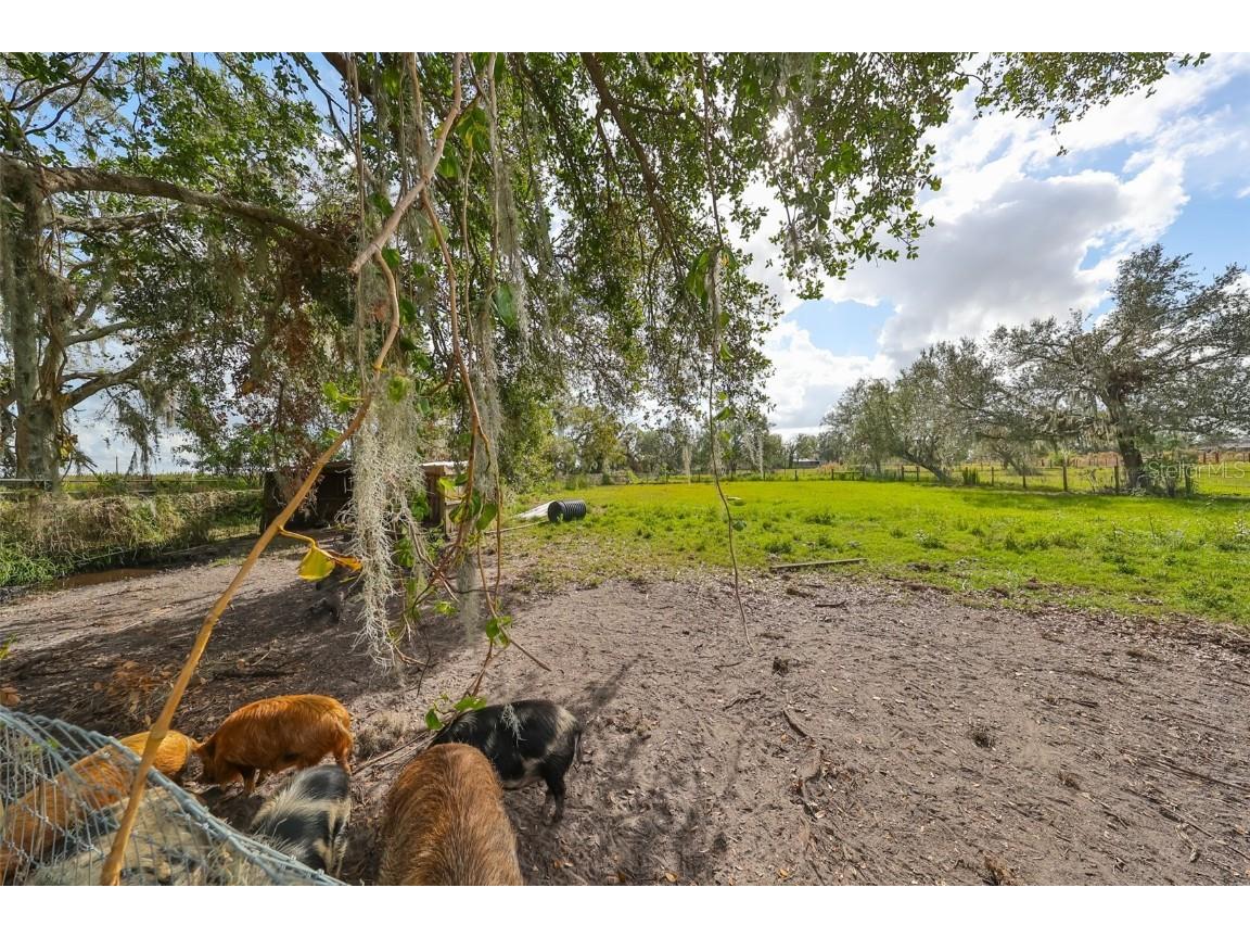 15624 Carlton Lake Road Wimauma FL 33598 W7871541 image74