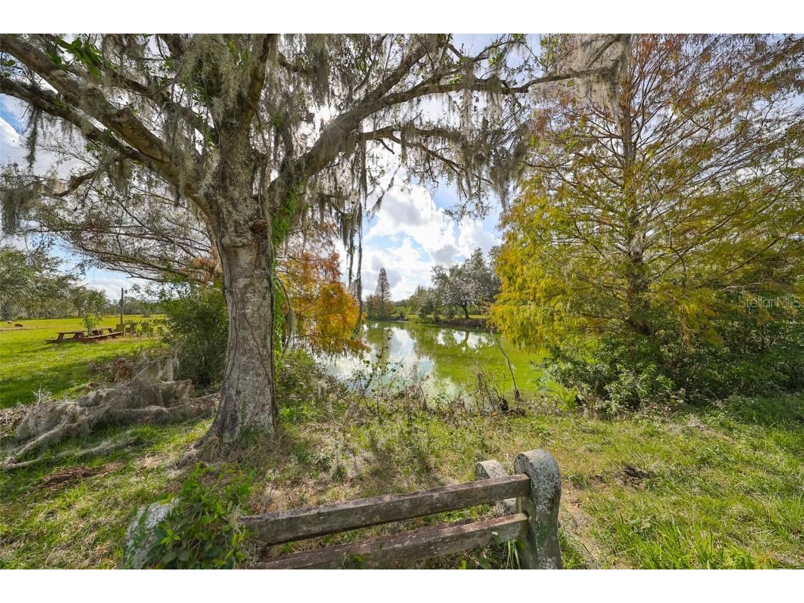 15624 Carlton Lake Road Wimauma FL 33598 W7878608 image7