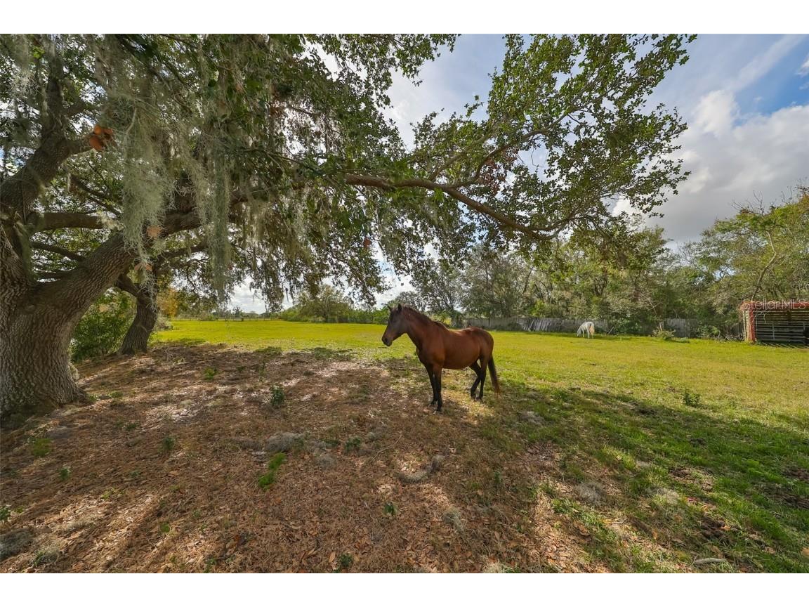 15624 Carlton Lake Road Wimauma FL 33598 W7878608 image8