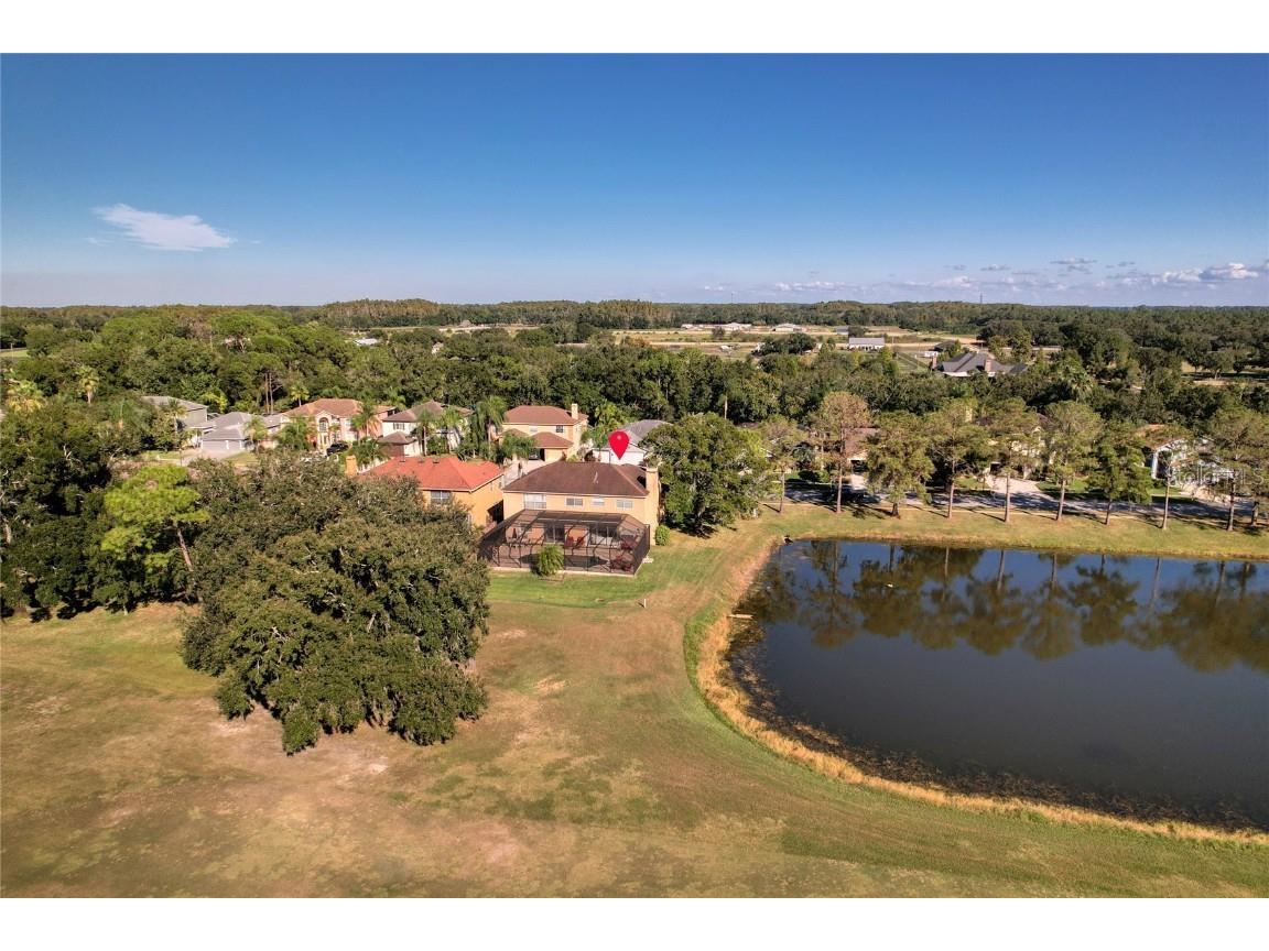 15624 Eastbourn Drive Odessa FL 33556 TB8439575 image5