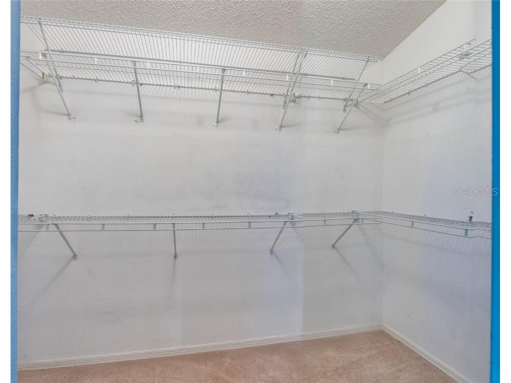 15624 Eastbourn Drive Odessa FL 33556 TB8439575 image56