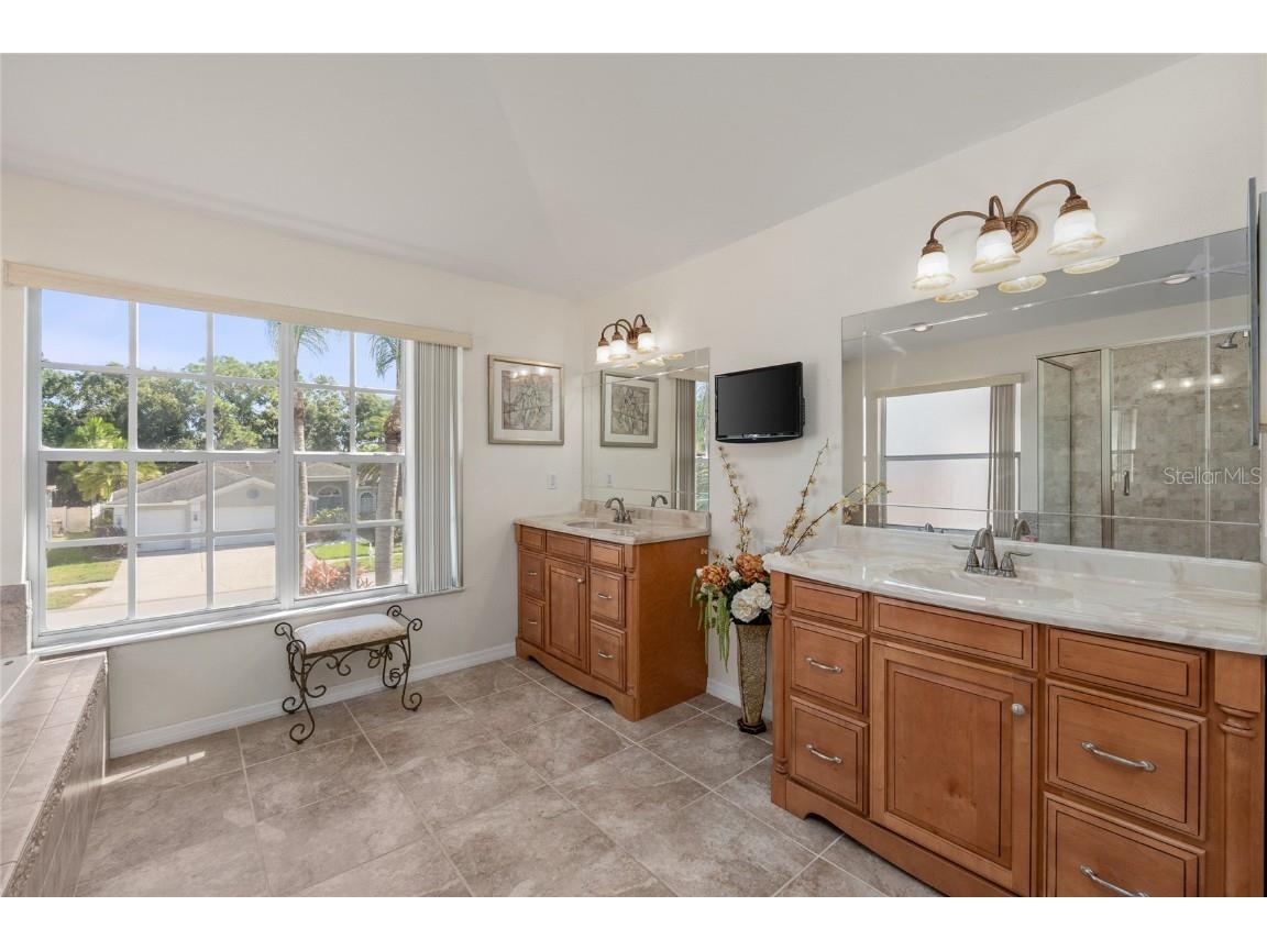 15624 Eastbourn Drive Odessa FL 33556 TB8439575 image57