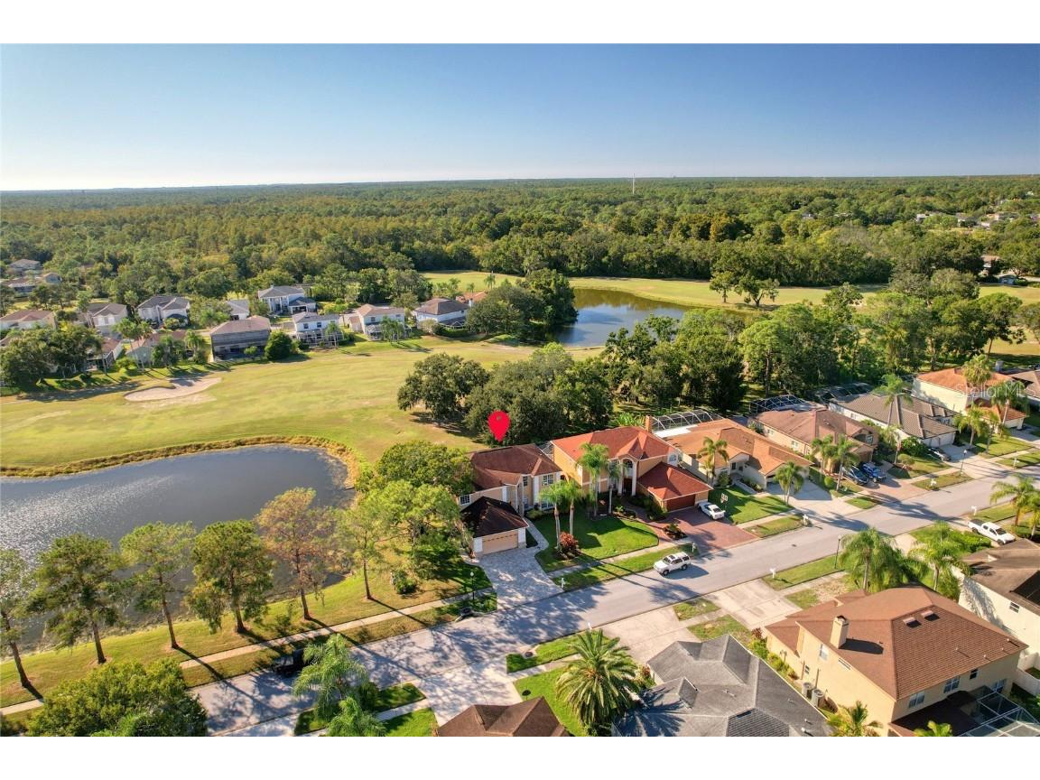 15624 Eastbourn Drive Odessa FL 33556 TB8439575 image6