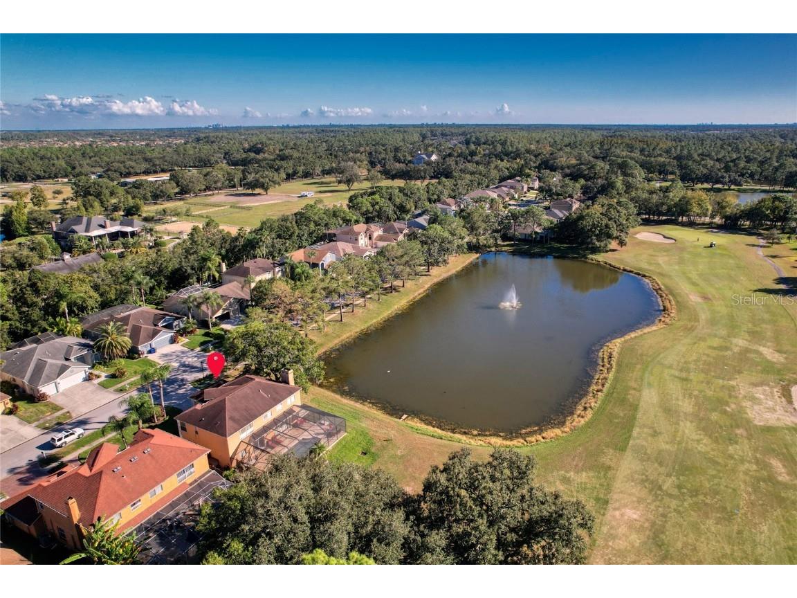 15624 Eastbourn Drive Odessa FL 33556 TB8439575 image7