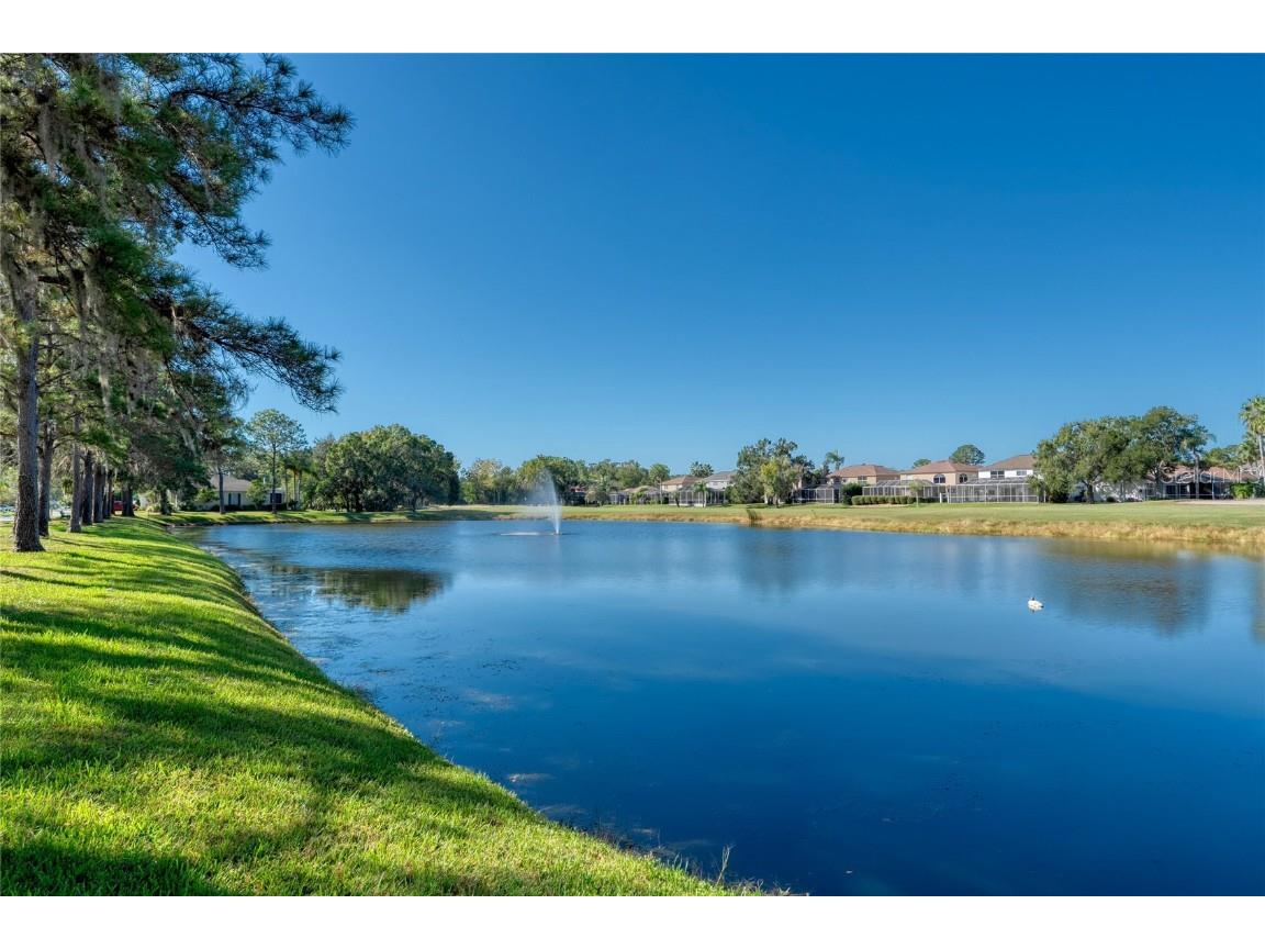 15624 Eastbourn Drive Odessa FL 33556 TB8439575 image8