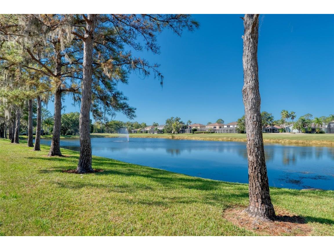 15624 Eastbourn Drive Odessa FL 33556 TB8439575 image9