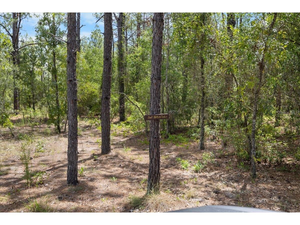 15624 Peace Boulevard Spring Hill FL 34610 TB8525223 image13