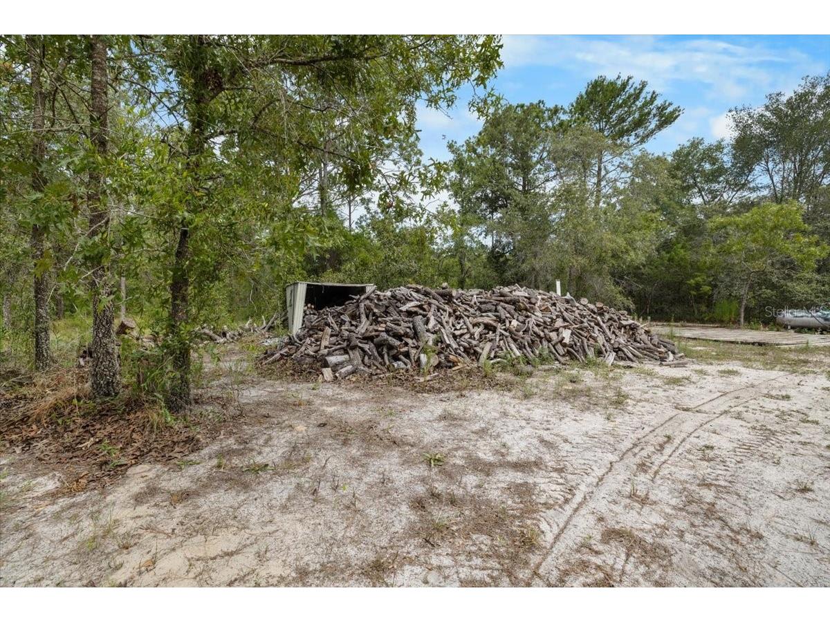 15624 Peace Boulevard Spring Hill FL 34610 TB8525223 image21