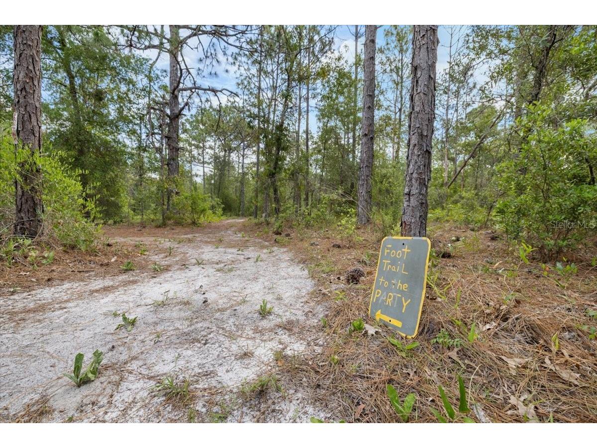 15624 Peace Boulevard Spring Hill FL 34610 TB8525223 image25