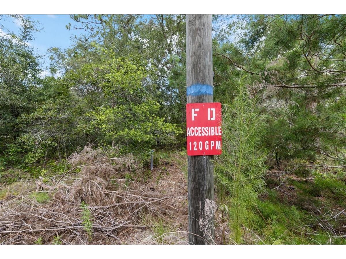 15624 Peace Boulevard Spring Hill FL 34610 TB8525223 image26
