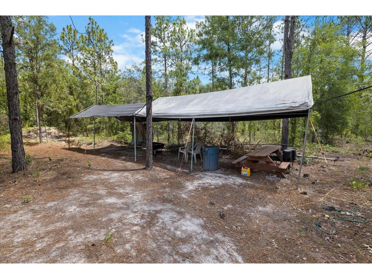 15624 Peace Boulevard Spring Hill FL 34610 TB8525223 image28