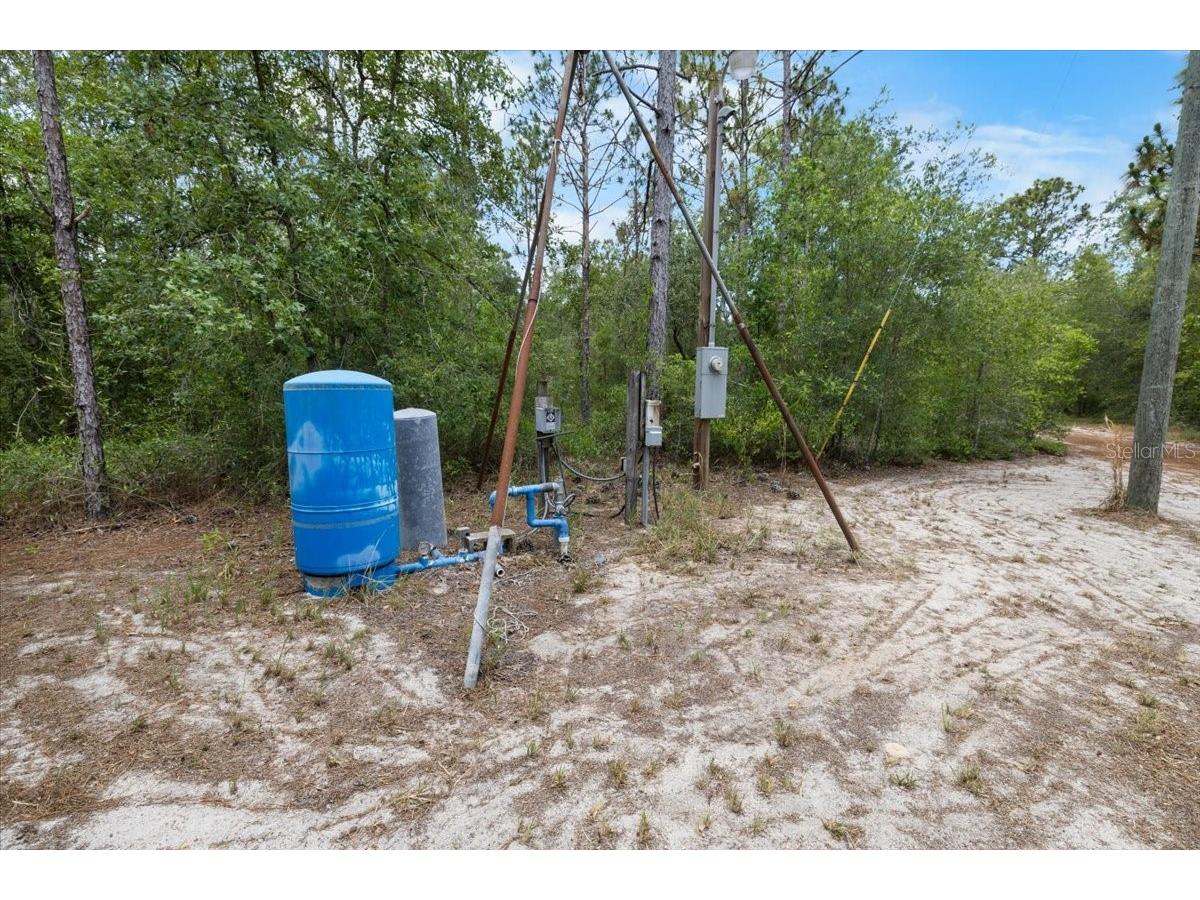 15624 Peace Boulevard Spring Hill FL 34610 TB8525223 image29