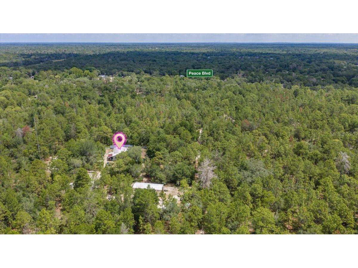 15624 Peace Boulevard Spring Hill FL 34610 TB8525223 image3