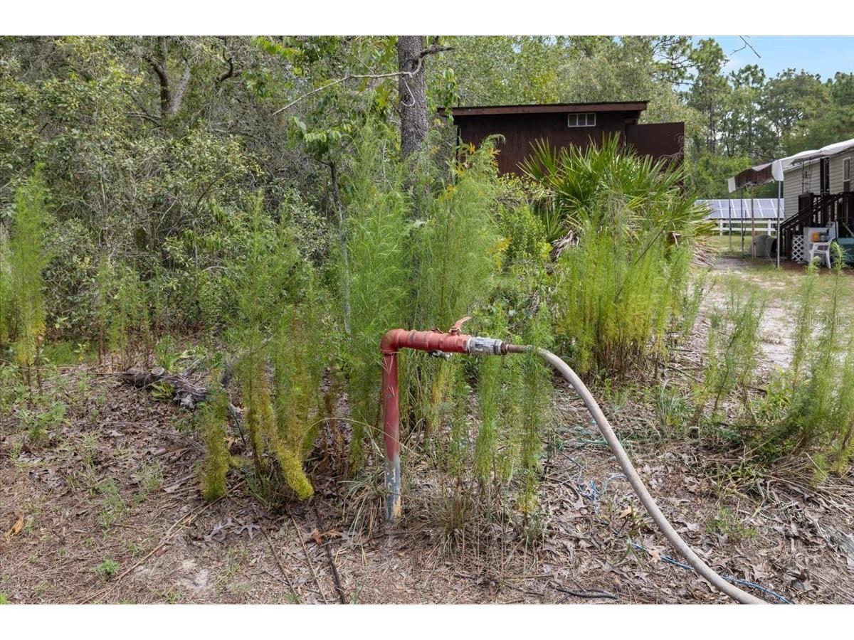 15624 Peace Boulevard Spring Hill FL 34610 TB8525223 image33