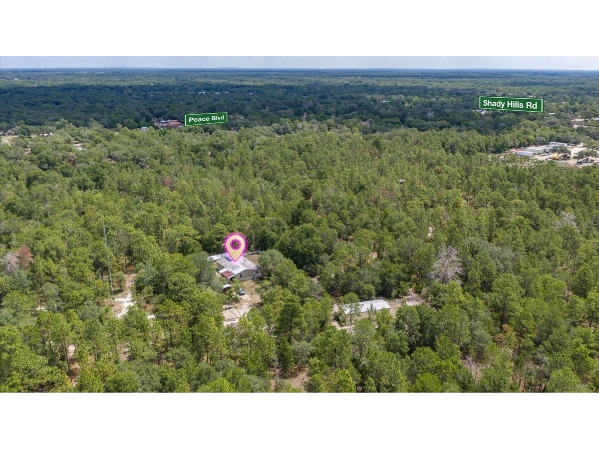 15624 Peace Boulevard Spring Hill FL 34610 TB8525223 image4