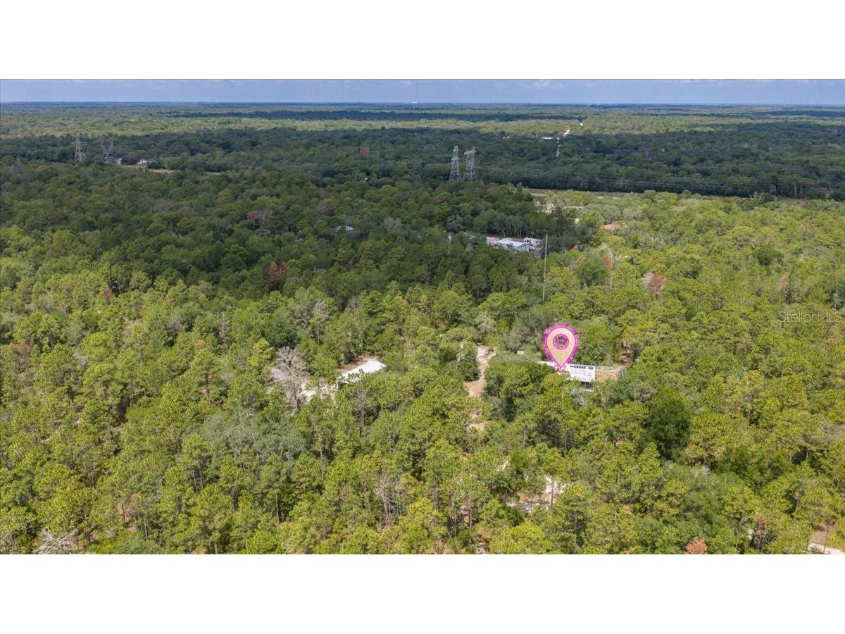 15624 Peace Boulevard Spring Hill FL 34610 TB8525223 image8