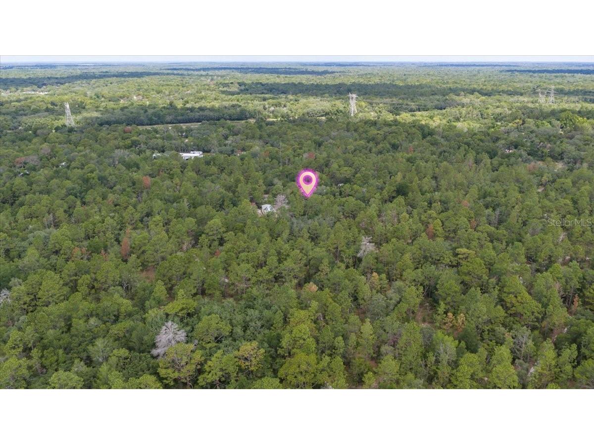 15624 Peace Boulevard Spring Hill FL 34610 TB8525223 image9
