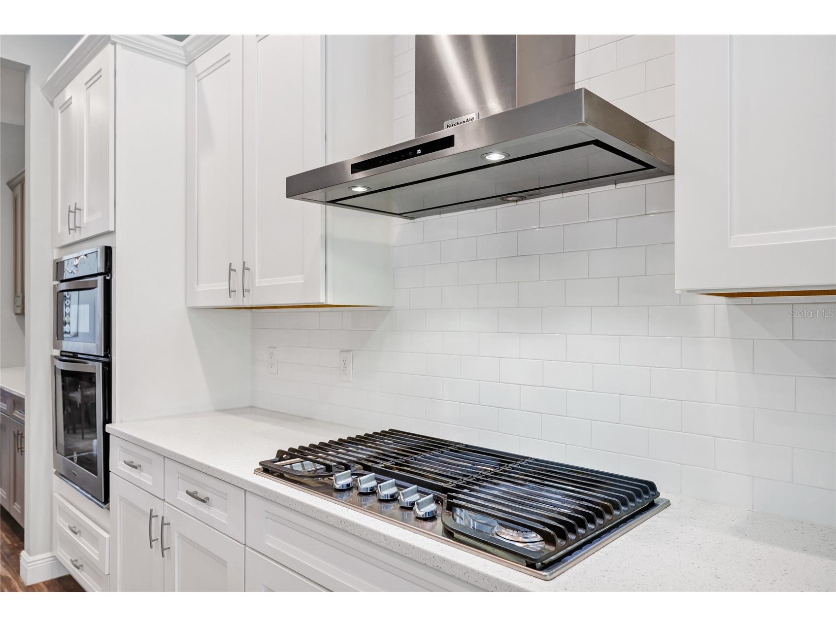 15625 Sylvester Palm Drive Winter Garden FL 34787 O6379346 image13