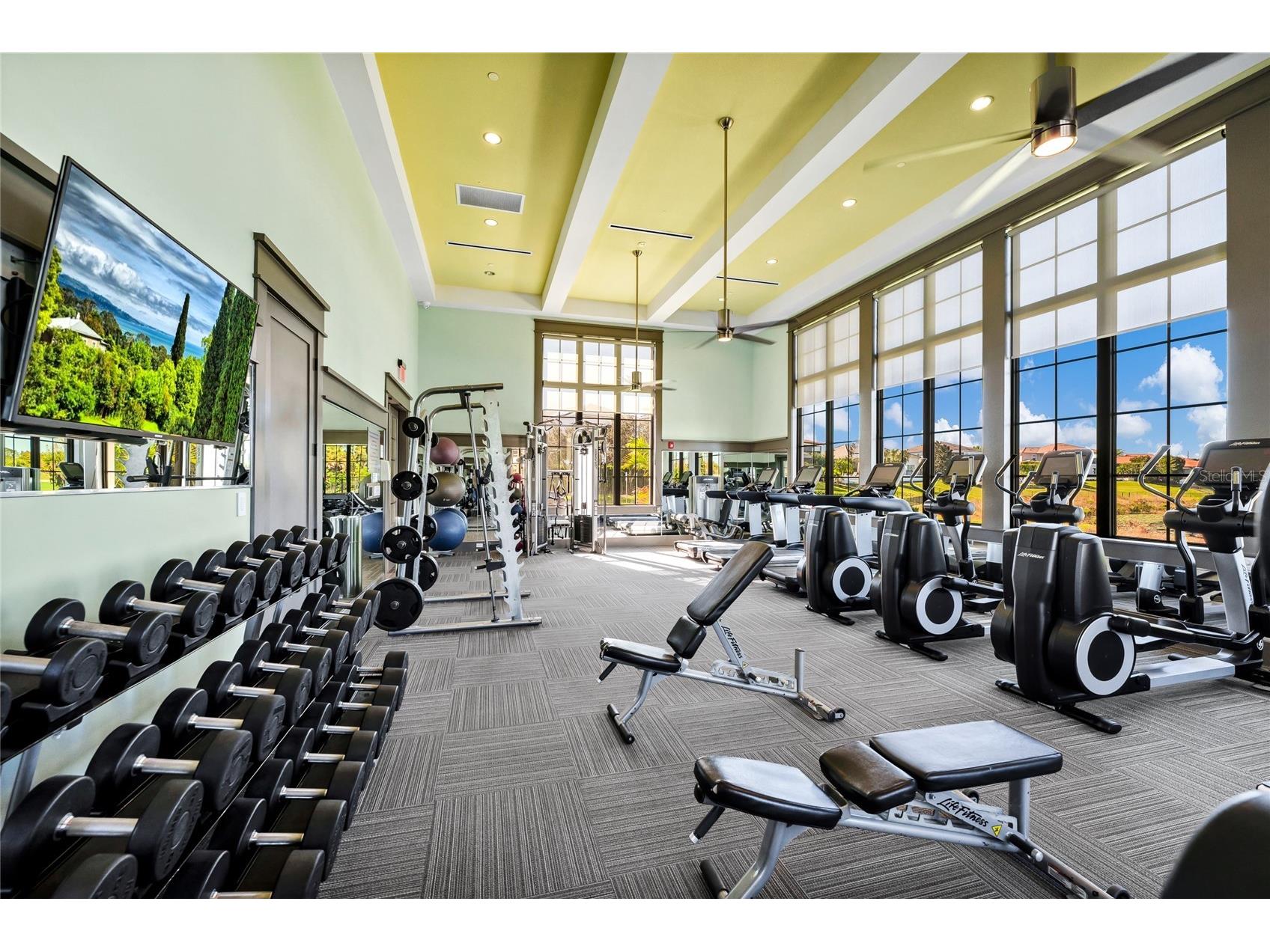 15625 Sylvester Palm Drive Winter Garden FL 34787 O6379346 image59