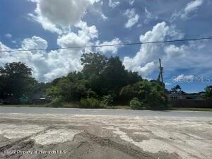 15627 Madeline Drive Hudson FL 34667 W7850639 image1