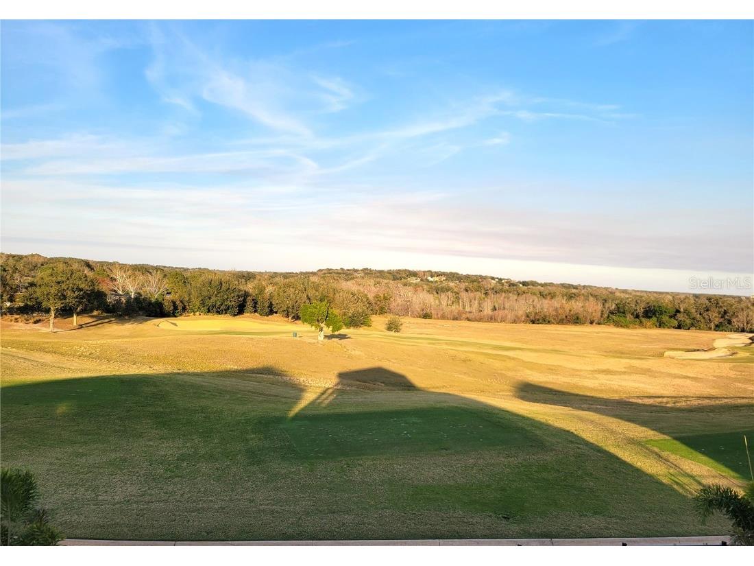 15627 Vetta Drive Montverde FL 34756 O6365569 image33