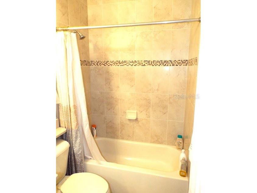 15628 Aurora Lake Circle Wimauma FL 33598 TB8491921 image10