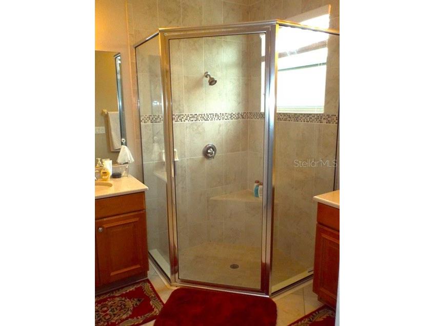 15628 Aurora Lake Circle Wimauma FL 33598 TB8491921 image20