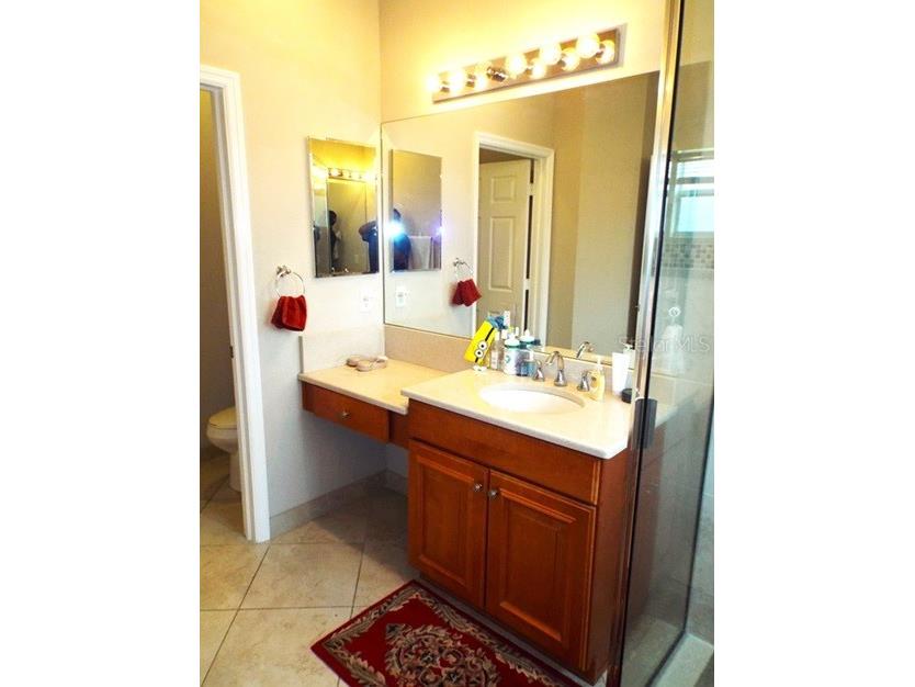 15628 Aurora Lake Circle Wimauma FL 33598 TB8491921 image22