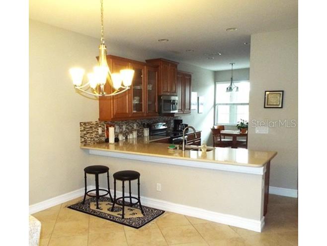 15628 Aurora Lake Circle Wimauma FL 33598 TB8491921 image5