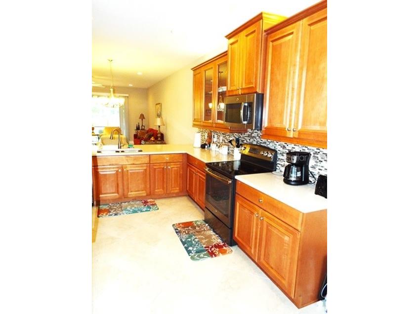 15628 Aurora Lake Circle Wimauma FL 33598 TB8491921 image7